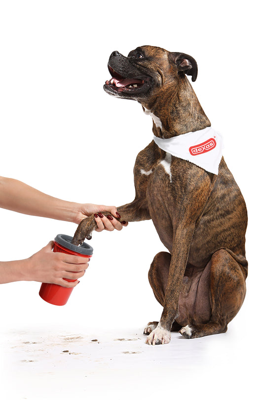 Mudbuster® Pet Paw Washer - Gentle Rubber Bristles for a Clean and Happy Pup