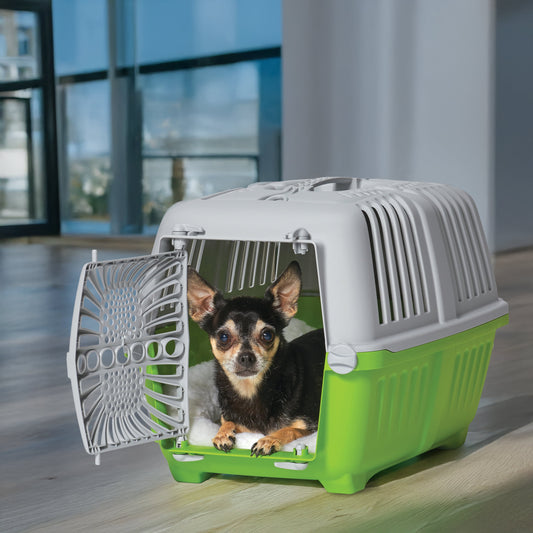 Spree 19-Inch Travel Pet Carrier for Dogs and Cats - Stylish Green with Secure Plastic Door